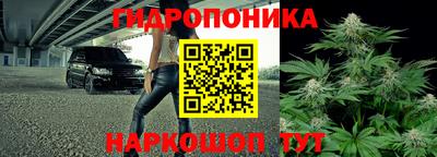 шишки Бугуруслан