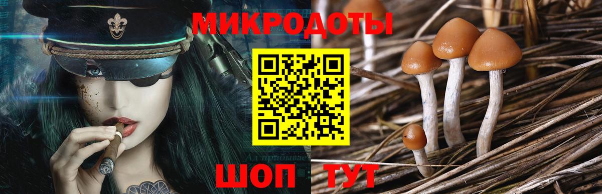 Шумерля  Псилоцибиновые грибы Psilocybine cubensis  купить наркотики цена  Вход с VPN 